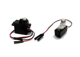 Little black duck - opened up